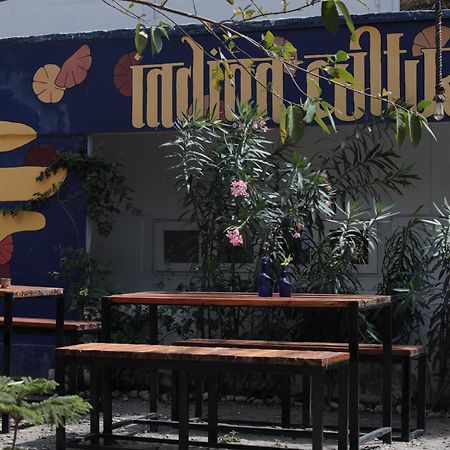 Indian Culture Hostel Rishīkesh Εξωτερικό φωτογραφία